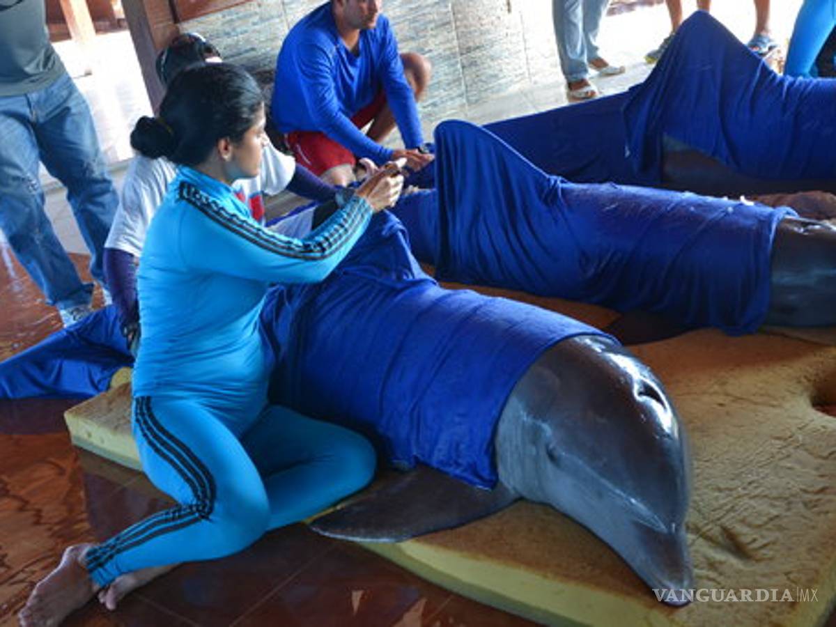 $!Irma deja en Cuba derrumbes y 10 muertos