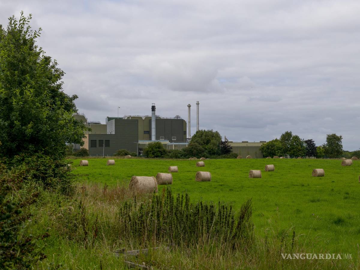 $!El baby boom en China enriqueció al pueblo de Askeaton donde una fábrica de Nestlé producía fórmula para recién nacidos. Una crisis de natalidad lo desbarató todo.