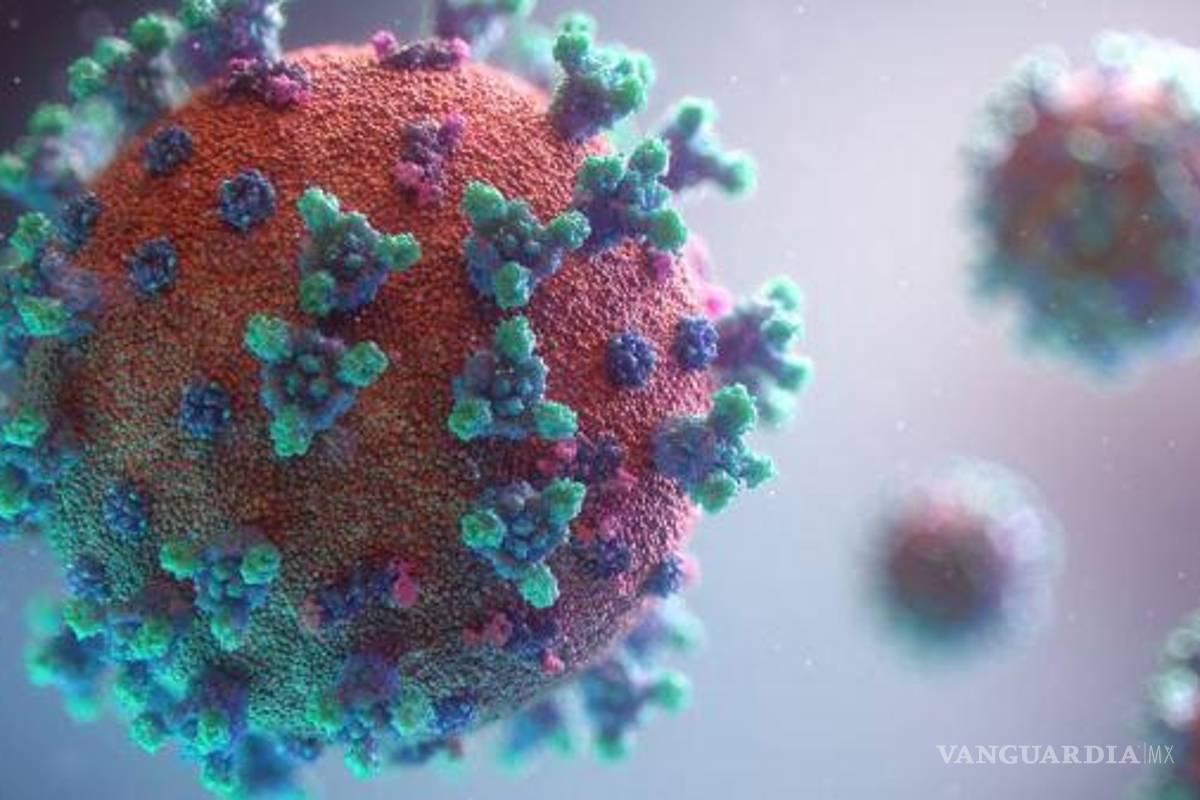 Repuntan muertes de nuevo por COVID-19 en Coahuila: 32 en un solo día, fallece otro menor; van 7 en el año