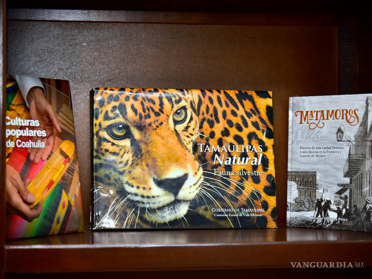 $!Con actividades y proyectos Quintanilla Ediciones celebra una década de trabajo