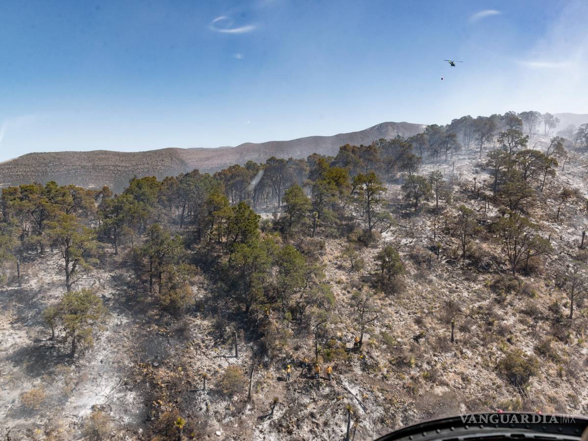 $!Brigadistas del municipio de Arteaga avanzan en la línea de fuego mientras se preparan para realizar descargas de agua aéreas en El Tunal.