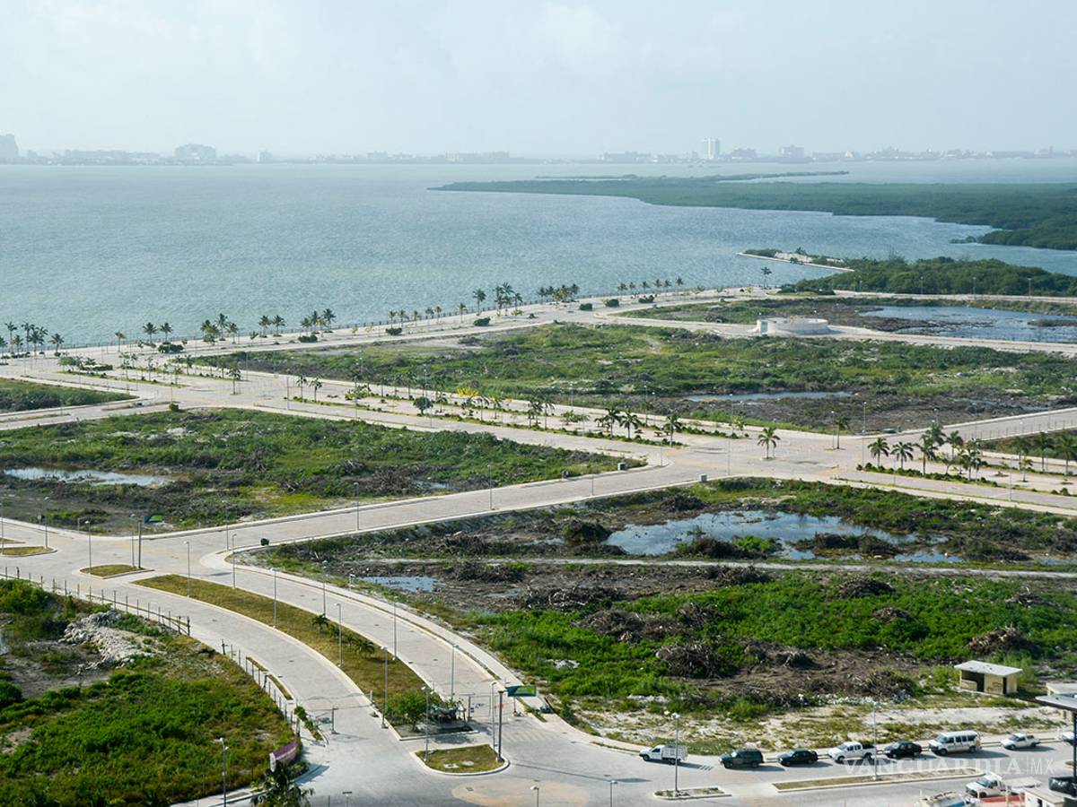 $!Ya pasó un año y la devastación en Tajamar sigue, las especies siguen en riesgo y nadie pagó el daño