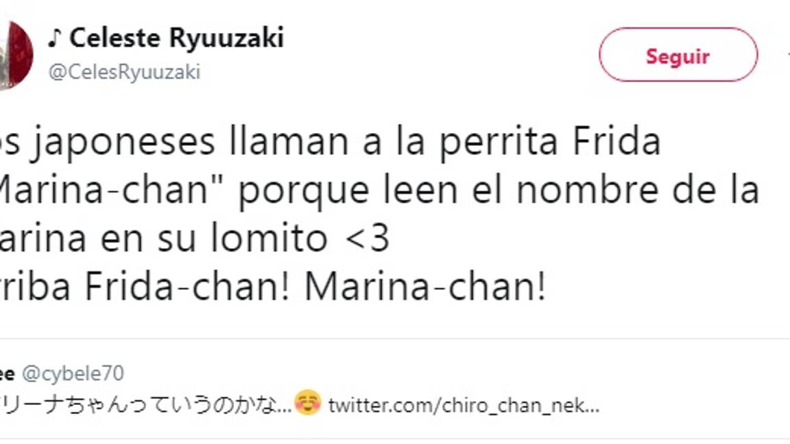 $!"Marina-Chan", así le dicen a la rescatista 'Frida' en Japón