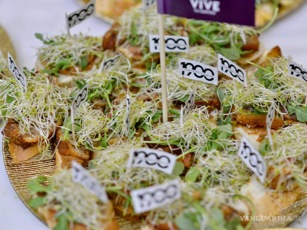 $!¡Despedida a lo grande! ‘Vive tu Centro’ cierra su primera temporada desde el Museo de las Aves