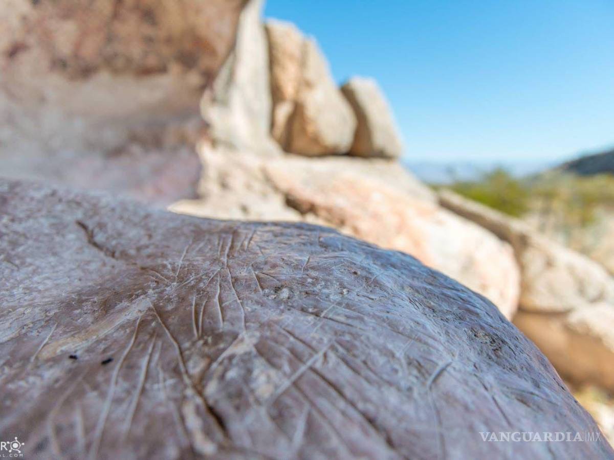 $!El turismo local y nacional en Cuatro Ciénegas ha venido en incremento.