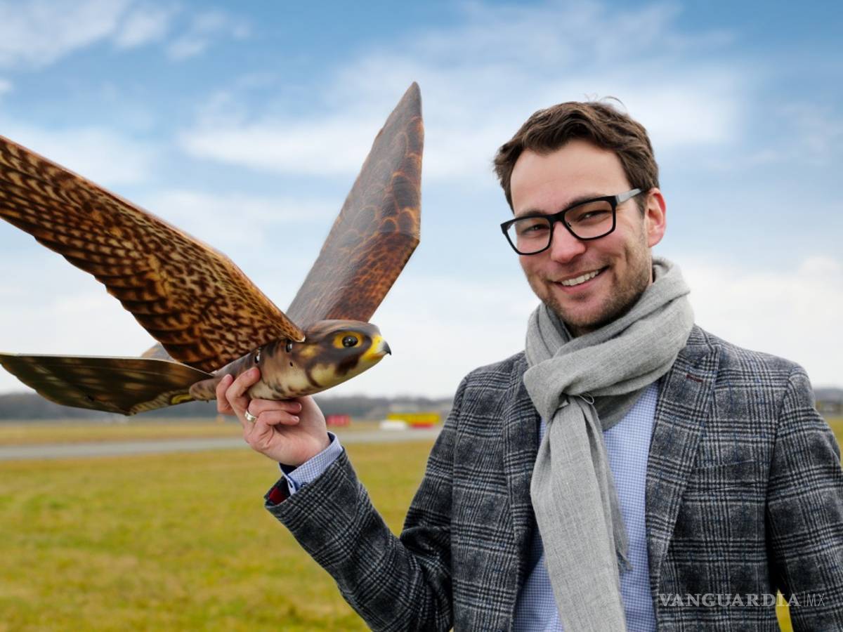 $!“Robird”, el robot halcón que cuida del aeropuerto de Edmonton en Canadá