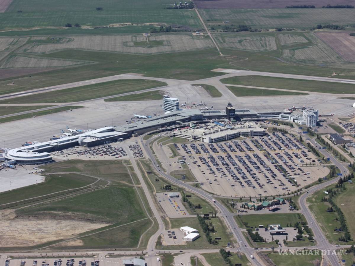 $!“Robird”, el robot halcón que cuida del aeropuerto de Edmonton en Canadá