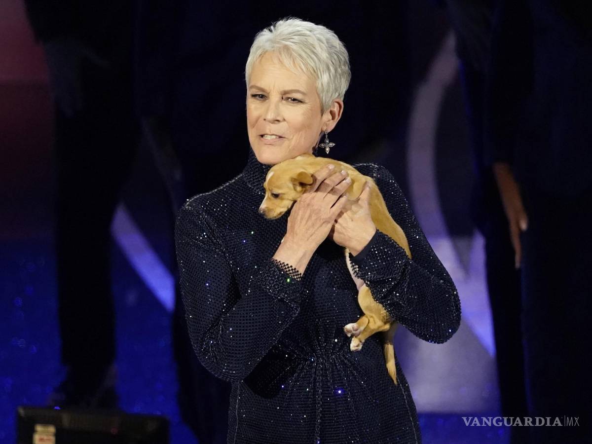 $!Jamie Lee Curtis adoptó un perrito en honor de Betty White durante el In Memoriam.