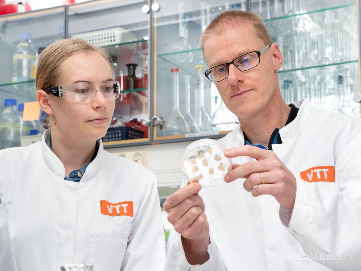 $!Investigadores Elviira Kärkkäinen y Heiko Rischer, en laboratorio. EFE/VTT