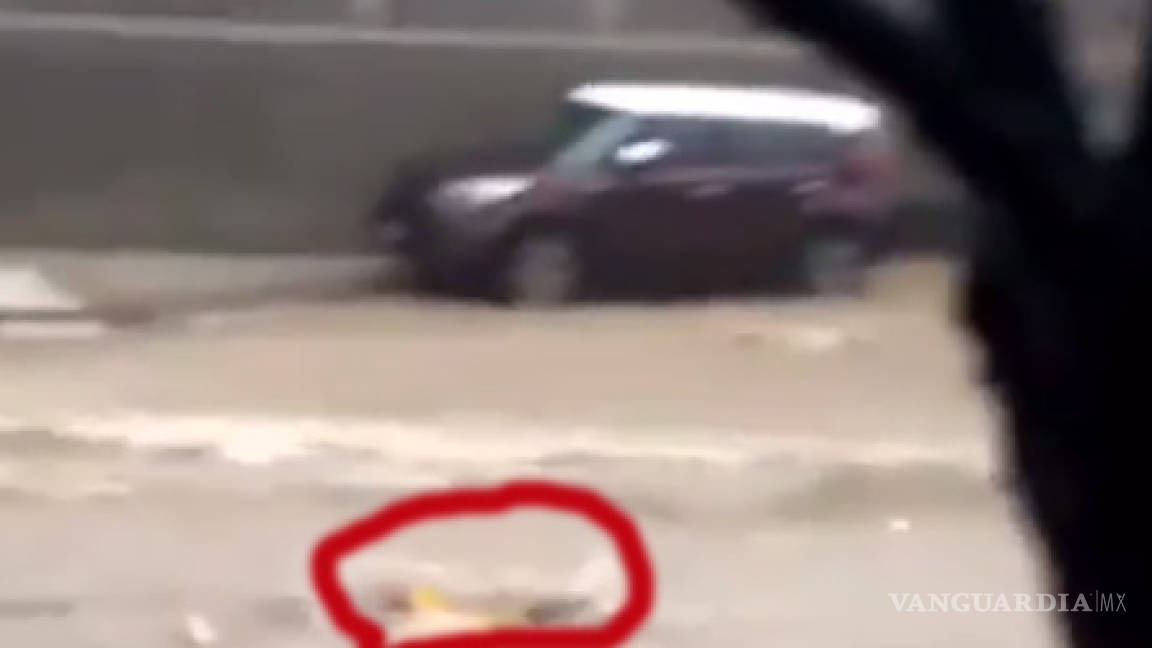 Saltillense extraviado en Monterrey fue arrastrado por el agua de la tormenta 'Hanna'