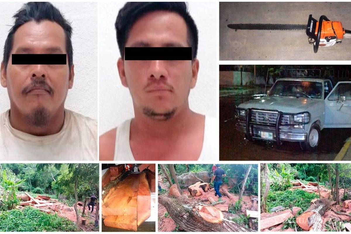 Sentencia en pro del planeta: Por ecocidio dos hombres sembrarán 3 mil árboles