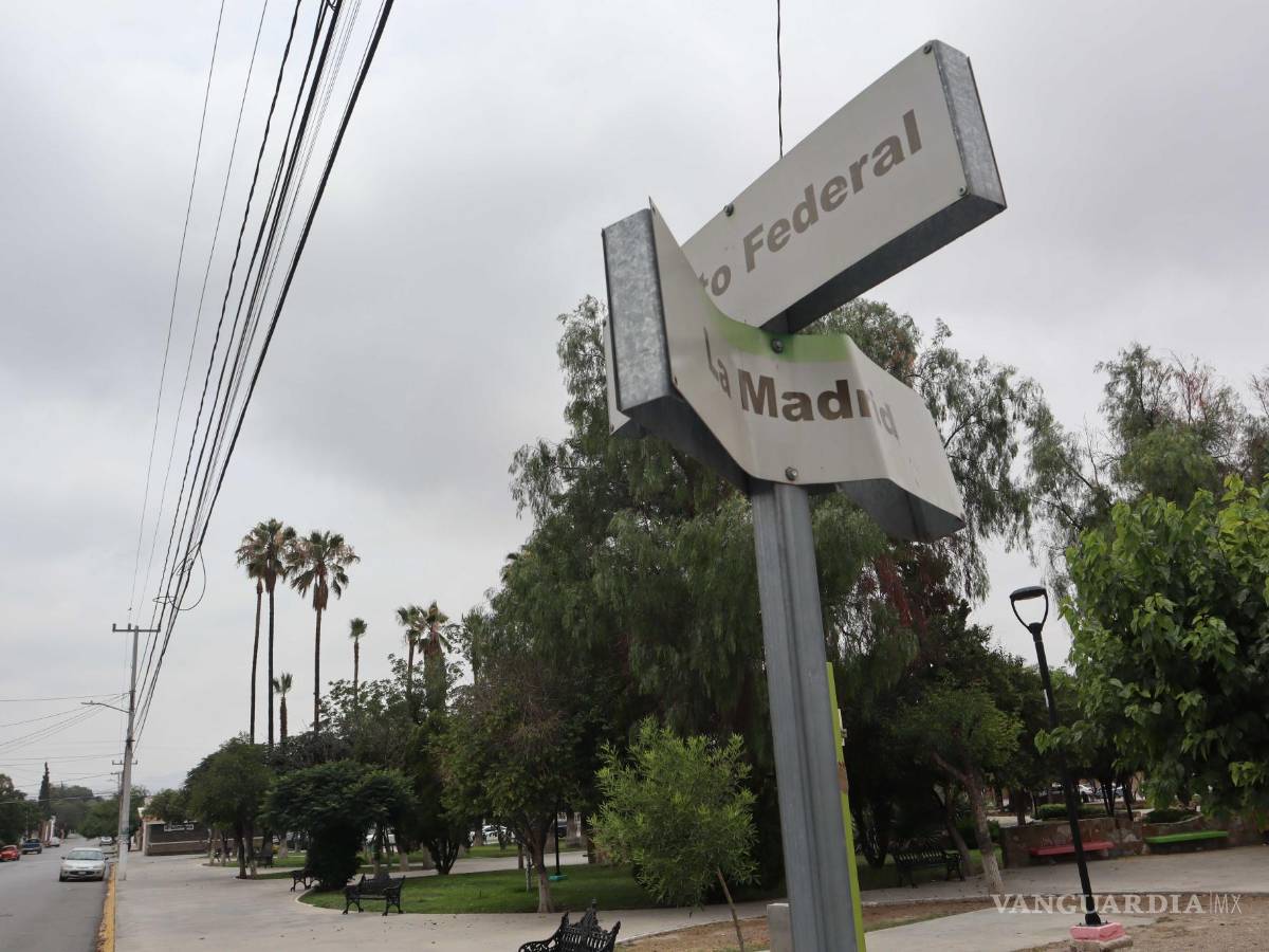 $!En el Municipio de Saltillo se comprometieron a hacer una revisión de los procedimientos de poda y limpia de las áreas públicas.