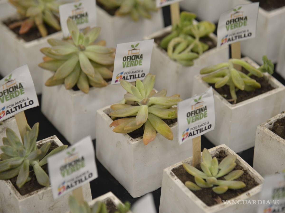 $!Además del programa Oficina Verde, el Ayuntamiento impulsa jornadas de reforestación para mejorar los espacios públicos y fomentar la participación ciudadana.