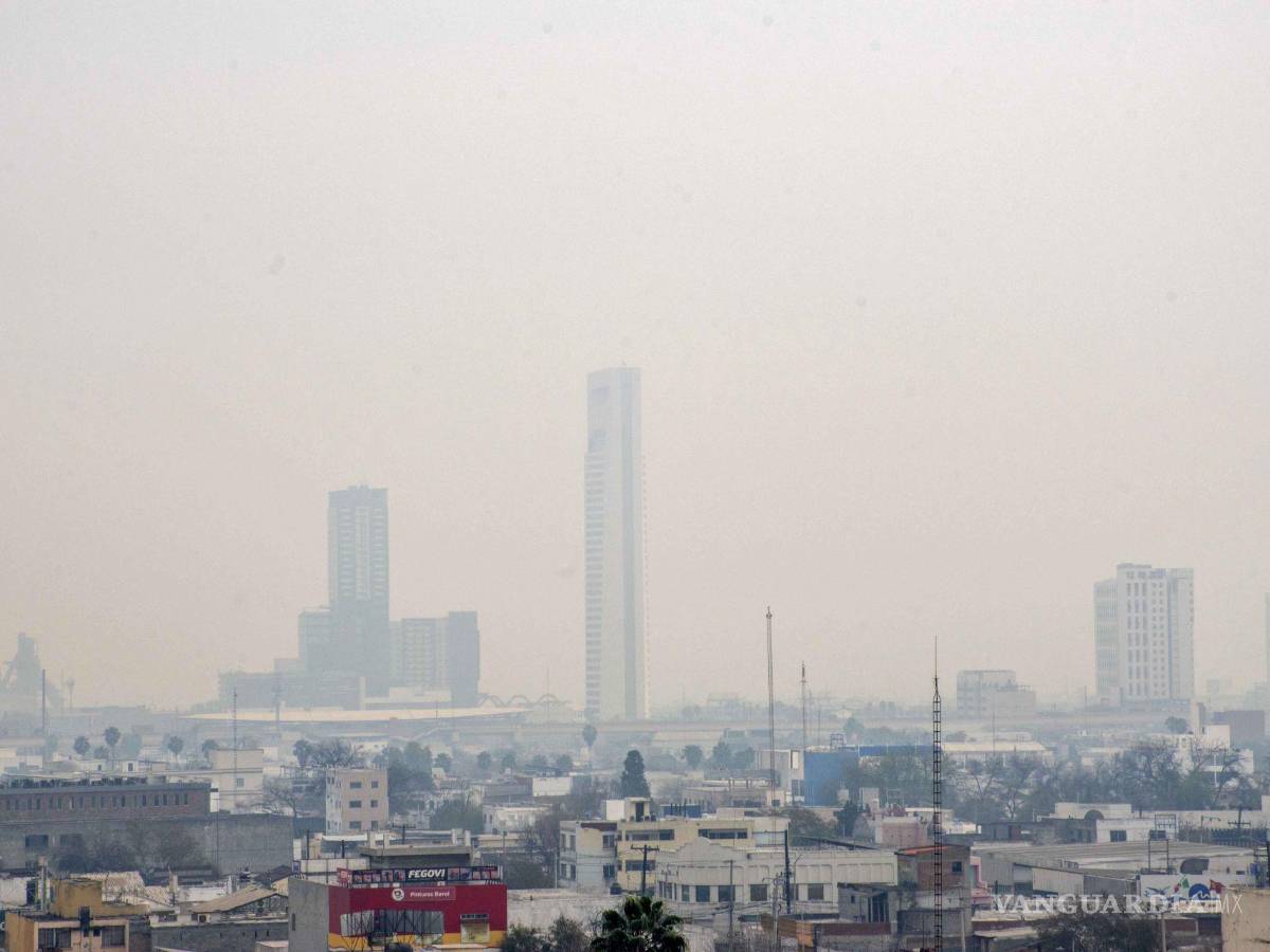 $!El Gobierno mexicano atribuyó a Ternium una emisión anual de 69 millones de toneladas de dióxido de carbono en San Nicolás.