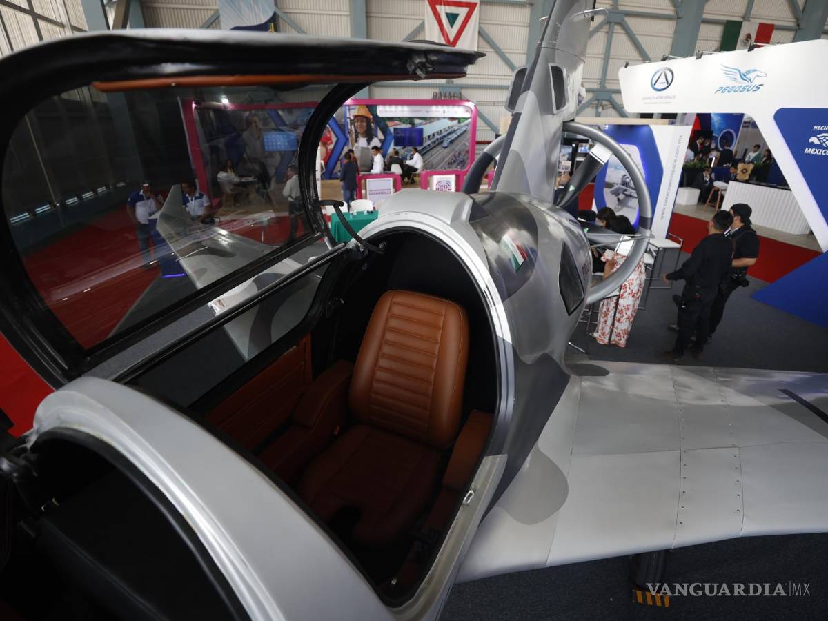 $!EL Pegasus PE-210 A está diseñado para ser usado en entrenamiento básico, vigilancia, rescate y aviación recreativa.