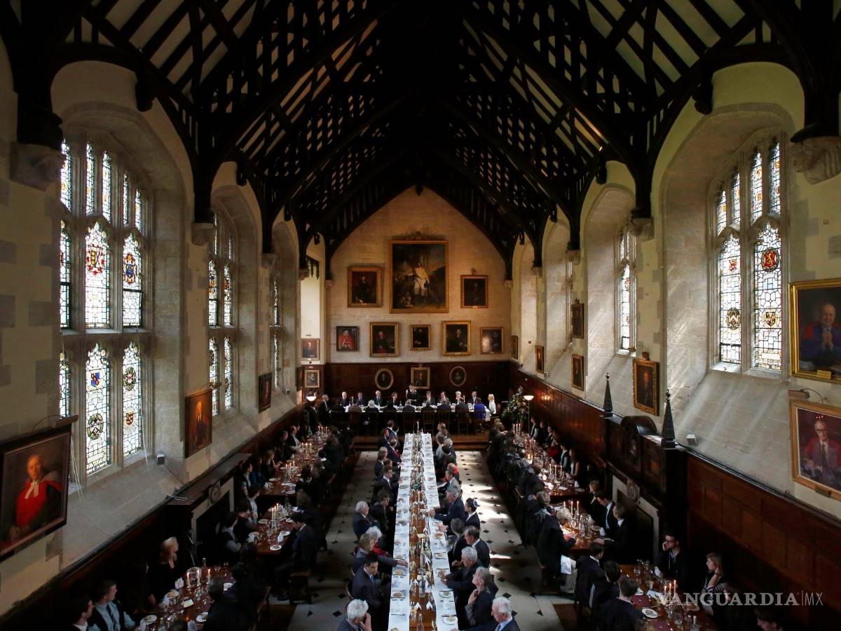 $!Un tiburón que vive 400 años y otras curiosidades que parecen un cuento, pero son verídicas