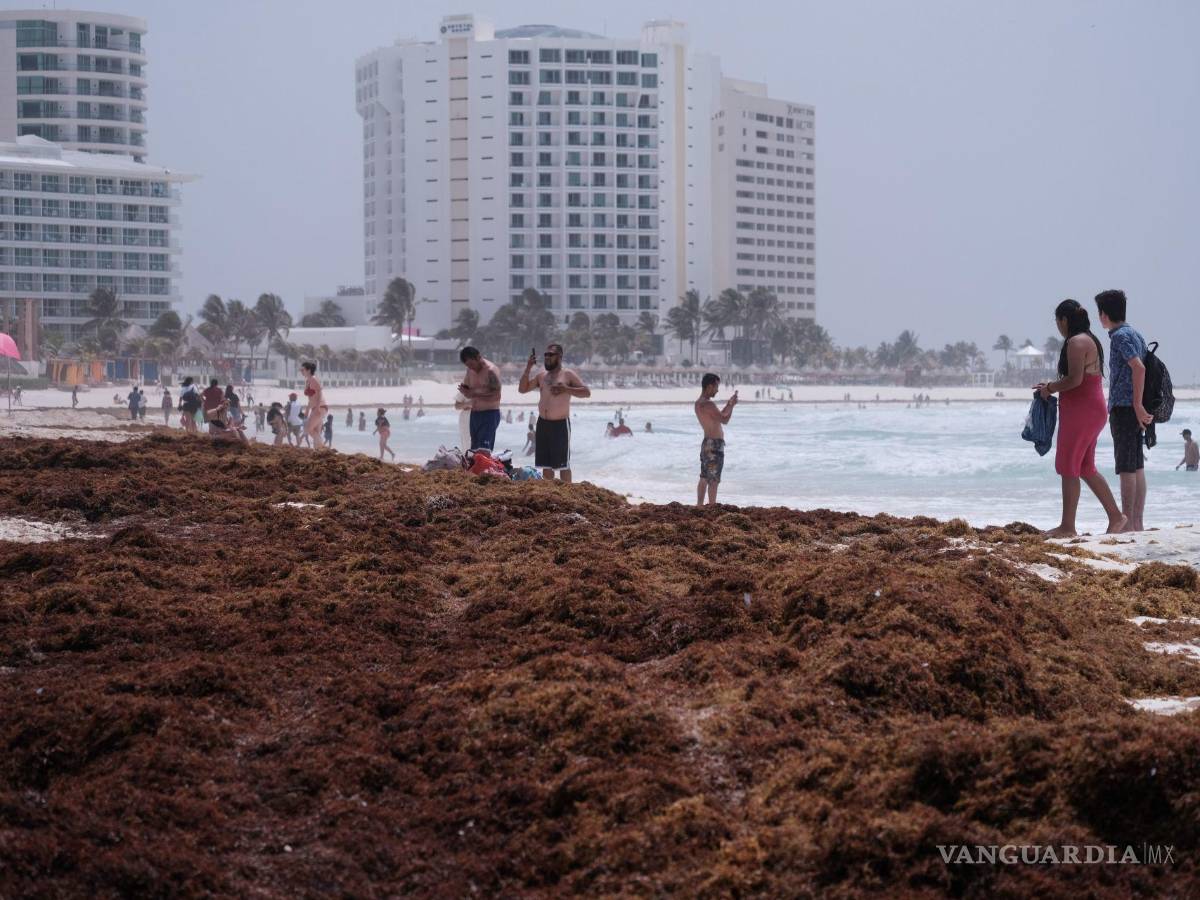 $!Aspectos de la playa en este destino turístico, con el arribo de una gran cantidad de sargazo a las costas de Quintana Roo.