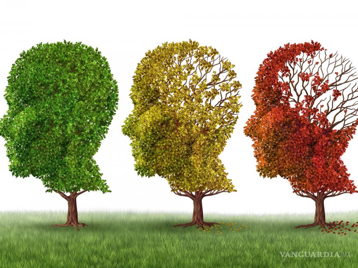 $!Hablar varios idiomas ayuda a prevenir el Alzheimer