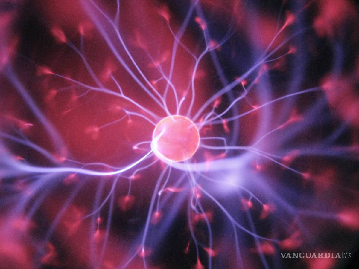 $!Aunque en nuestra mente existan más voces y son una simulación del habla abierta.