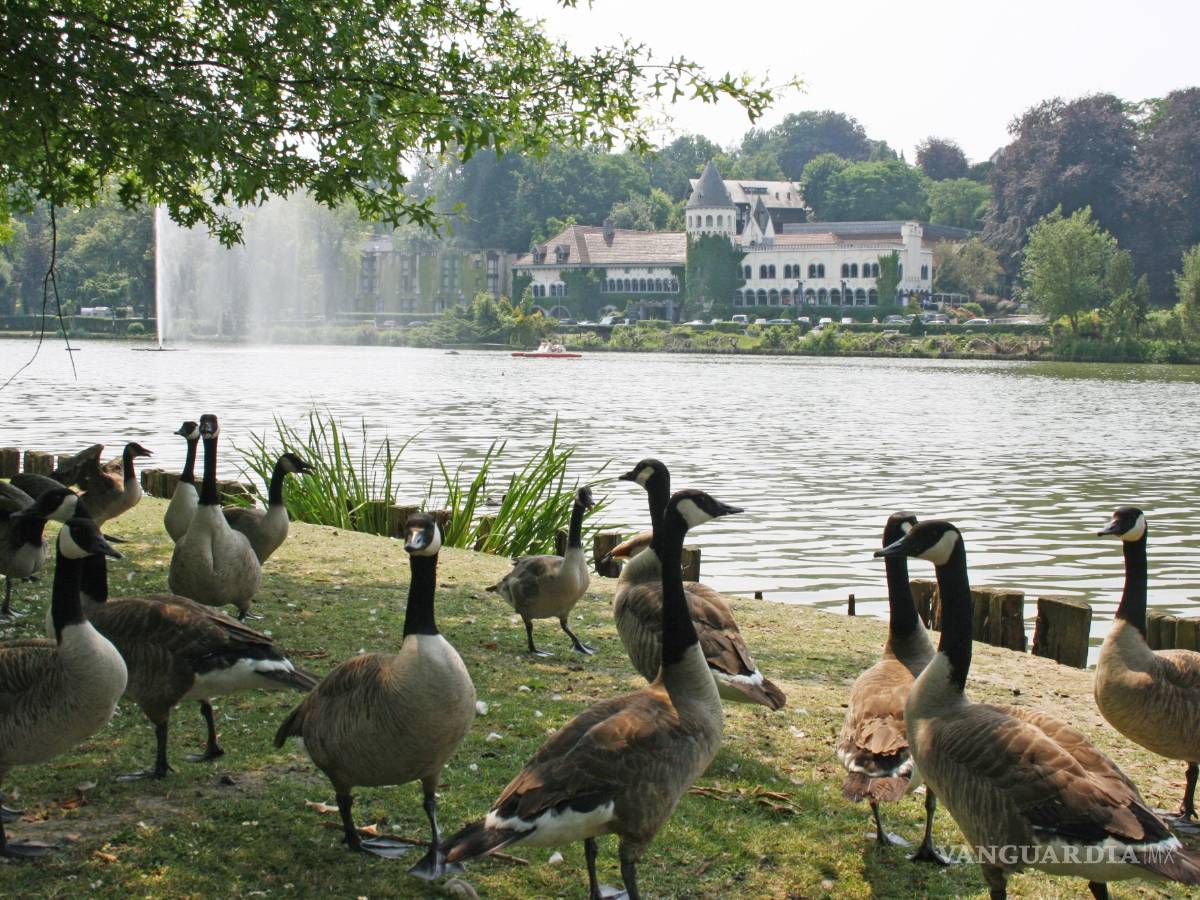 $!Valonia en Bélgica te ofrece un tesoro acuático, paisajes fabulosos y exquisita gastronomía