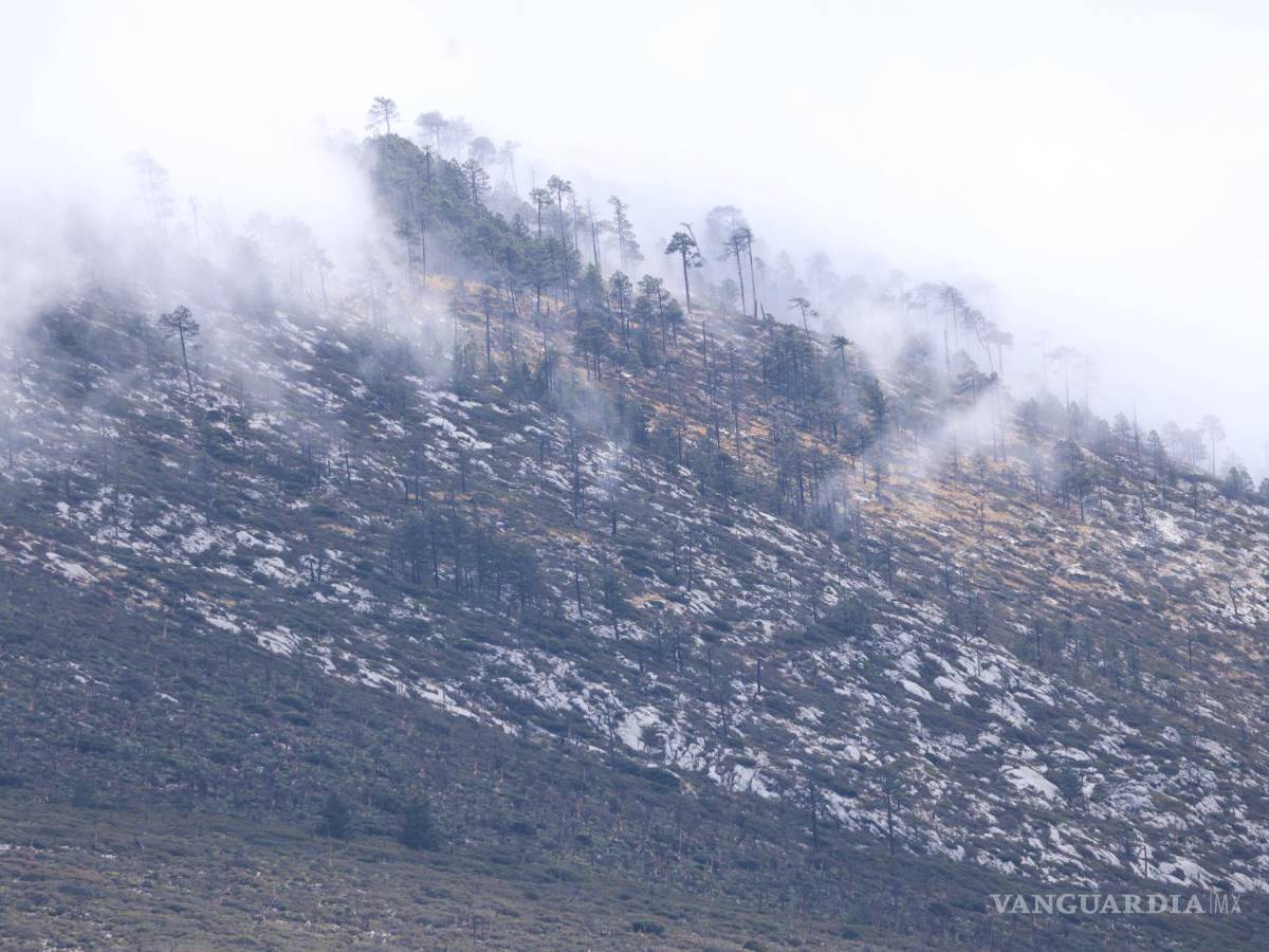 $!Las temperaturas que se pronostican se ubicarían entre las más frías de la historia.