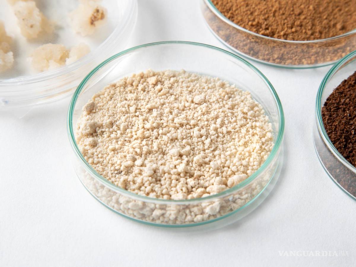 $!Café producido mediante agricultura celular , molido y tostado. EFE/VTT