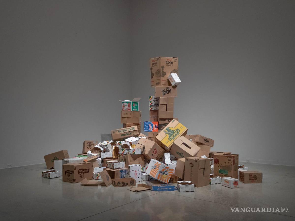 $!‘El otro vecino del otro lado’: Arte que revela la realidad de la migración latina a Canadá