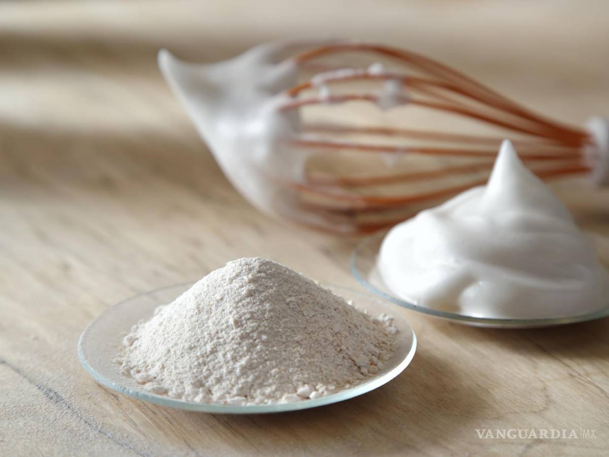 $!Polvo y espuma proteica producidas biotecnológicamente, en cocina. EFE/VTT