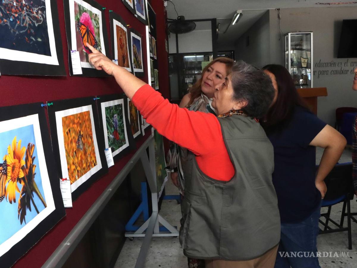 $!Fotógrafos de todo México, como Rocío Reyval Ramírez y Nereida Barrios, documentaron el recorrido de las mariposas monarca por diversos estados.