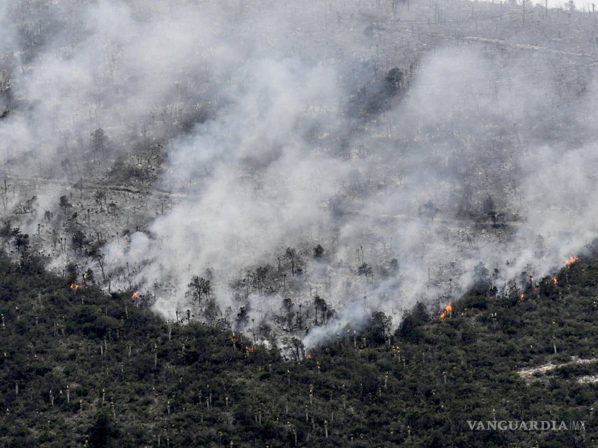 $!Incendio en las comunidades de Arteaga El Tunal y Carbonera.