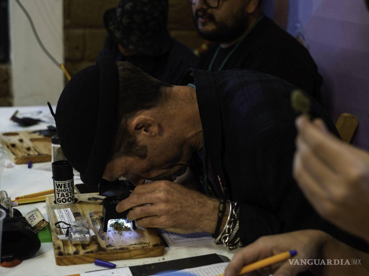 $!Queda prohibido a los trabajadores usar narcóticos o drogas enervantes dentro o fuera de sus horas de trabajo sin prescripción médica, dice la LFT, Capítulo VI “Trabajadores de autotransportes”, Artículo 261, fracción I y II.