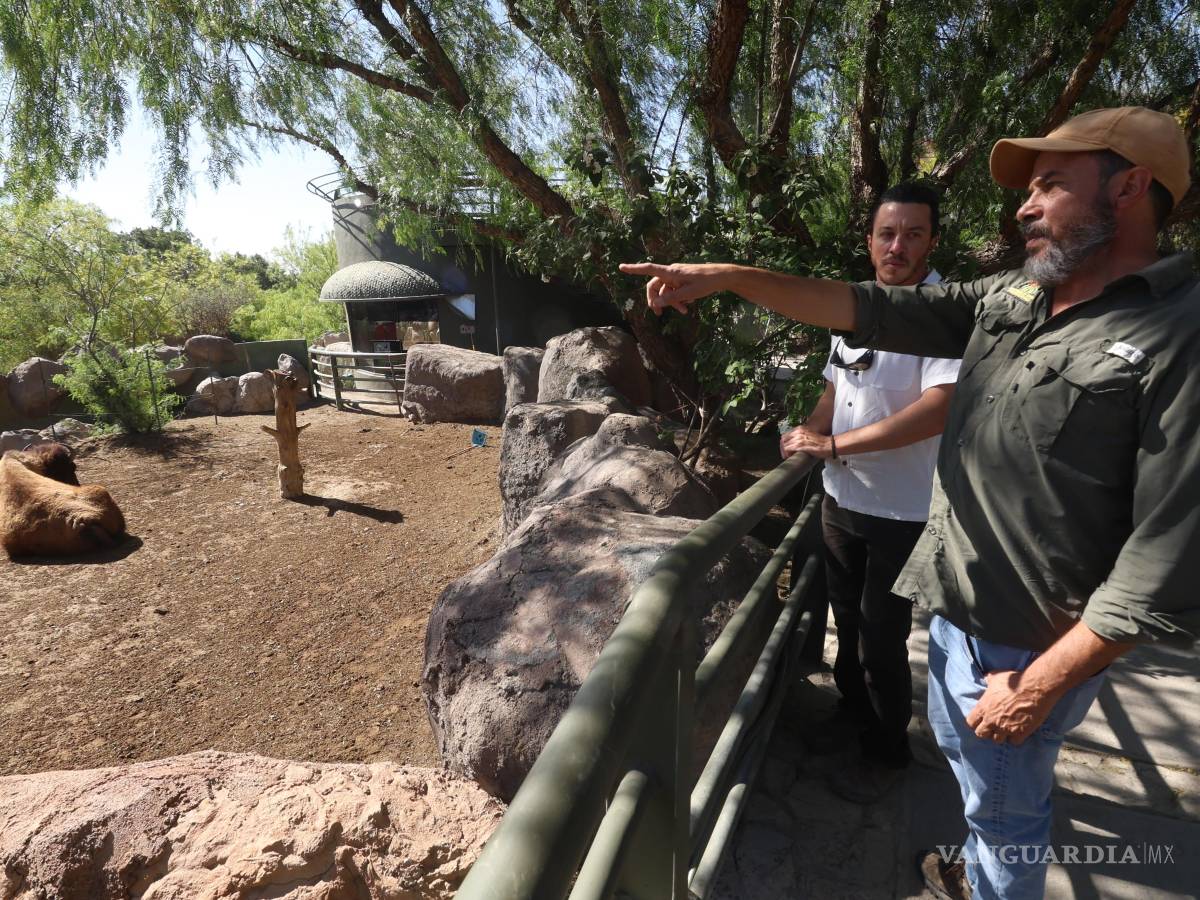 $!El proyecto de ecoturismo busca concienciar a la comunidad sobre la importancia de la restauración ecológica y la preservación de especies.