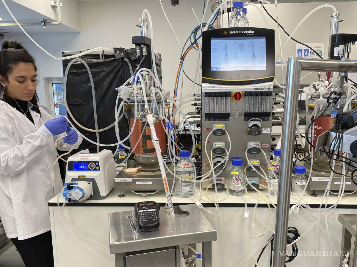 $!Los empleados de Believer Meats trabajan en laboratorios en la sede de la empresa en Rehovot, Israel.