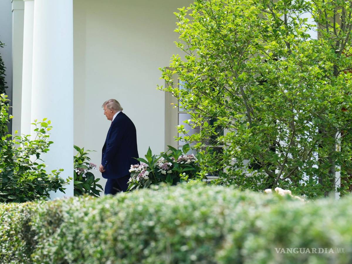 $!Trump, el primer delincuente convicto que ha sido elegido como presidente, ha eliminado los límites éticos y desmantelado los instrumentos de rendición de cuentas que limitaban a sus predecesores