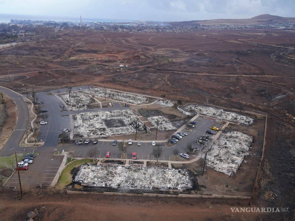 $!Los restos de un incendio forestal se ven el jueves 10 de agosto de 2023 en Lahaina, Hawái.