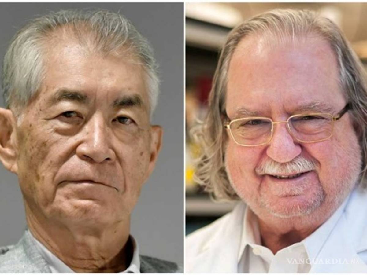 $!Dan Nobel de Medicina a investigadores de terapias contra cáncer