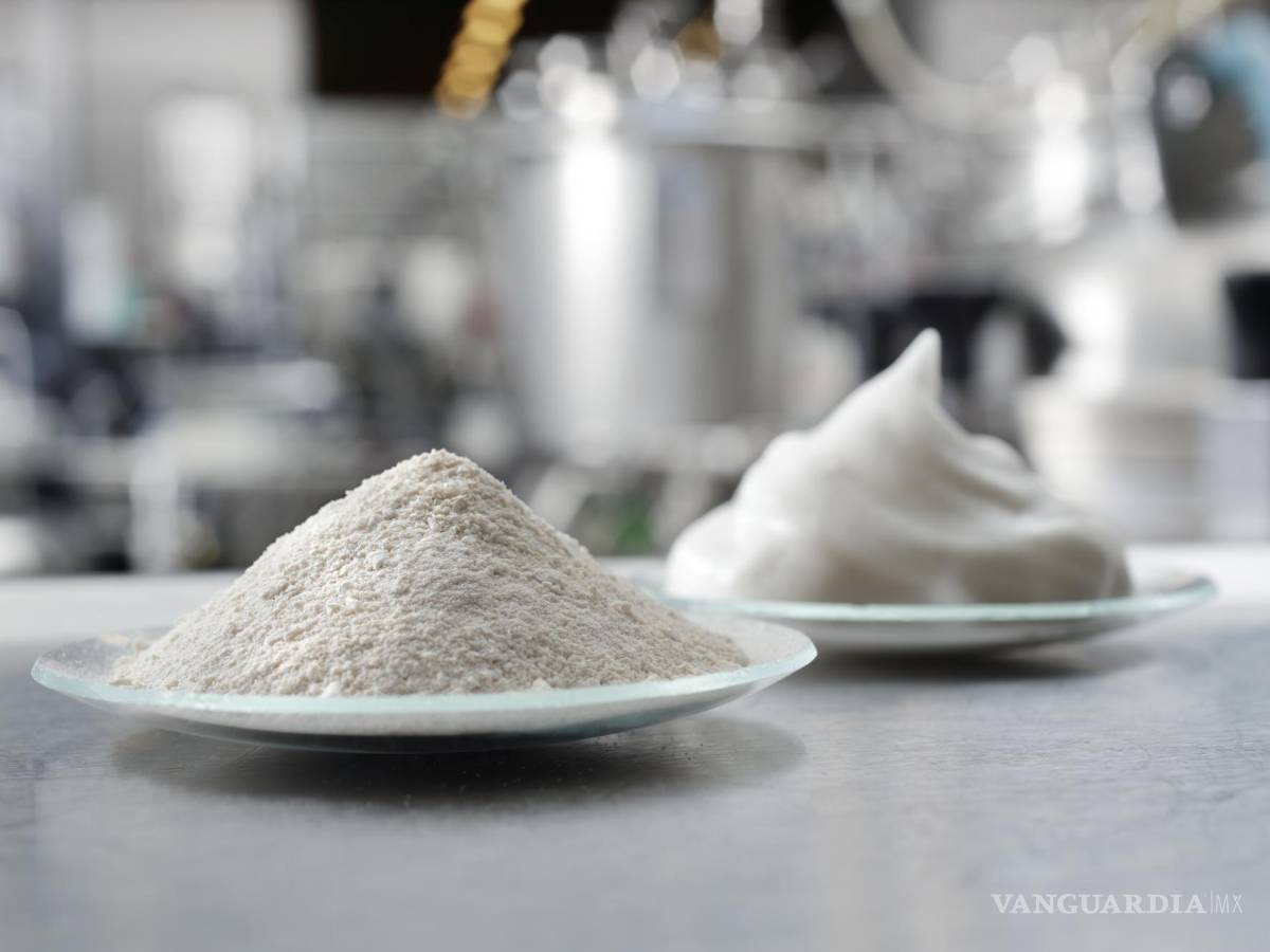 $!Polvo y espuma proteica producidas mediante biotecnología, en laboratorio. EFE/VTT