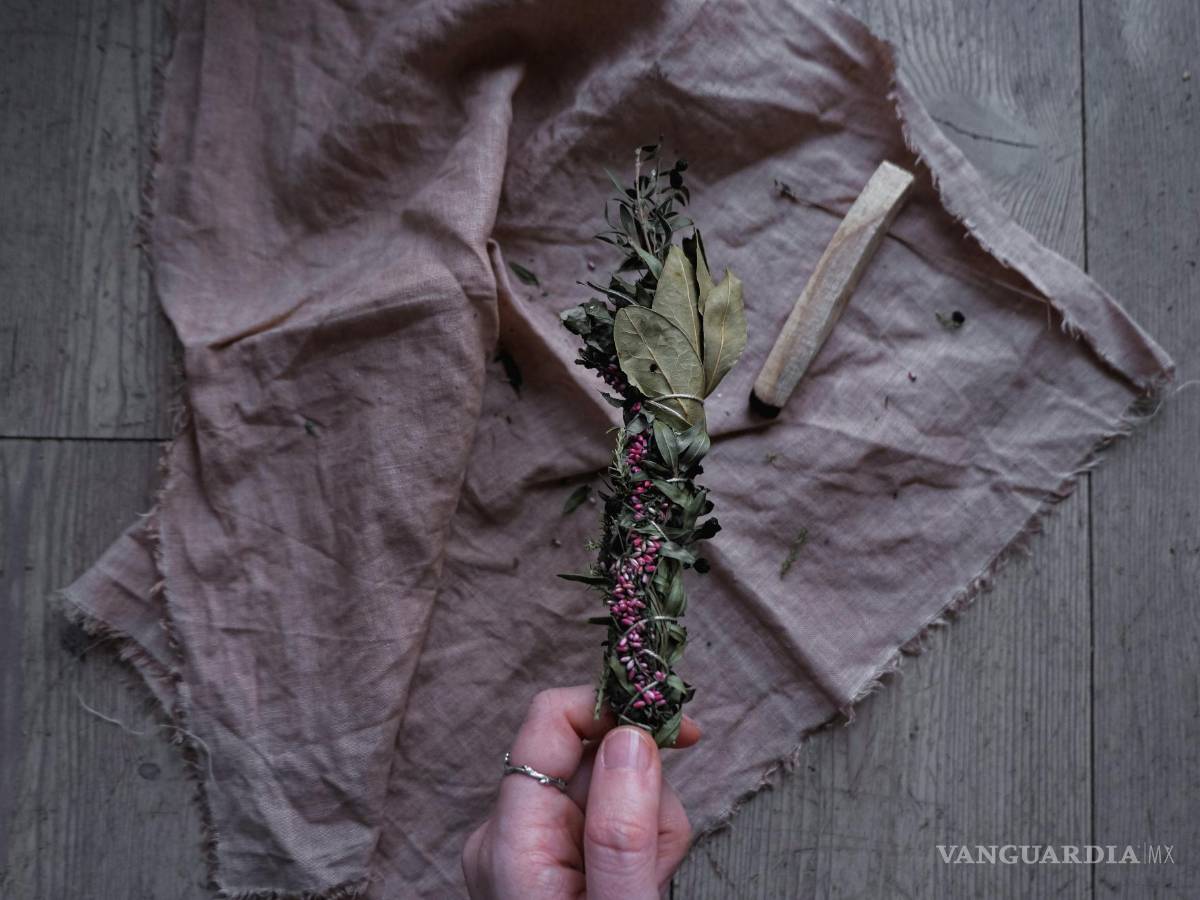 $!Visualiza tus metas mientras cuidas de estas plantas, manifestando así tus deseos hacia el universo.