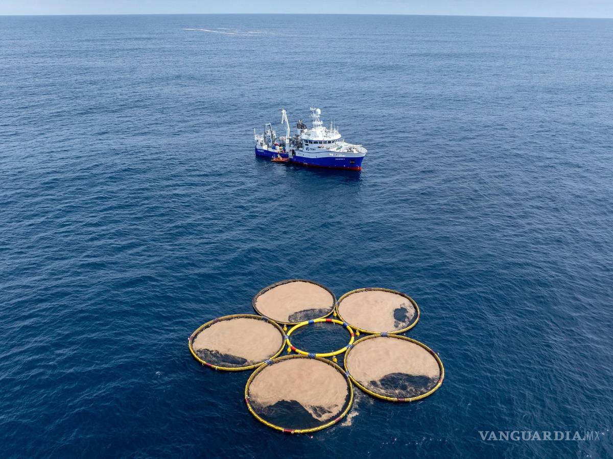 $!Estructuras circulares desarrolladas por Gigablue flotan en el océano Pacífico, frente a la costa de Dunedin, Nueva Zelanda; parte de un proyecto para cultivar pequeños organismos llamados fitoplancton que absorben el dióxido de carbono del océano.