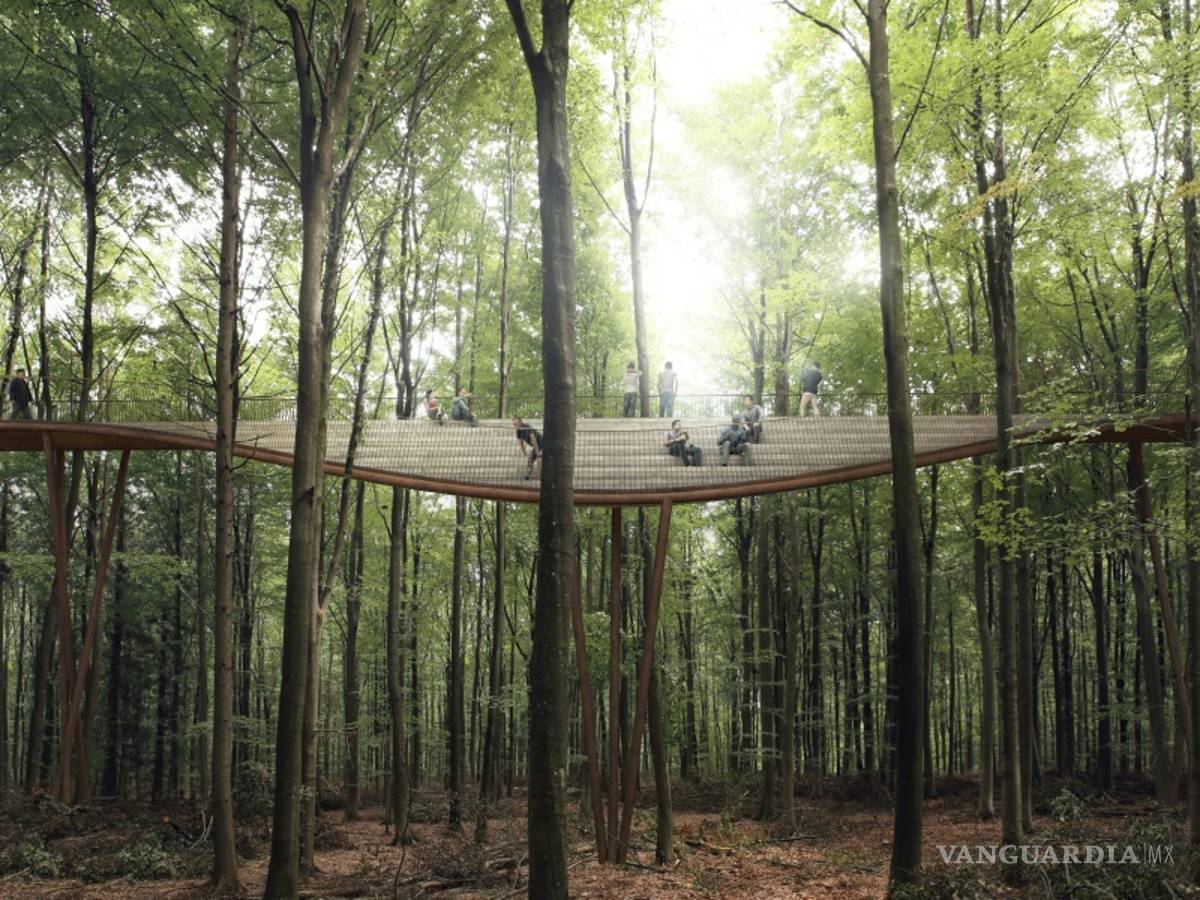 $!La Forest Tower les ofrece a los visitantes una nueva perspectiva del bosque escandinavo