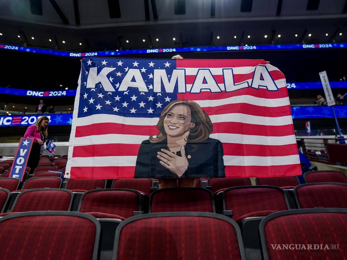 $!Un delegado sostiene una bandera política durante la segunda noche de la Convención Nacional Demócrata (DNC) en el United Center en Chicago, Illinois.