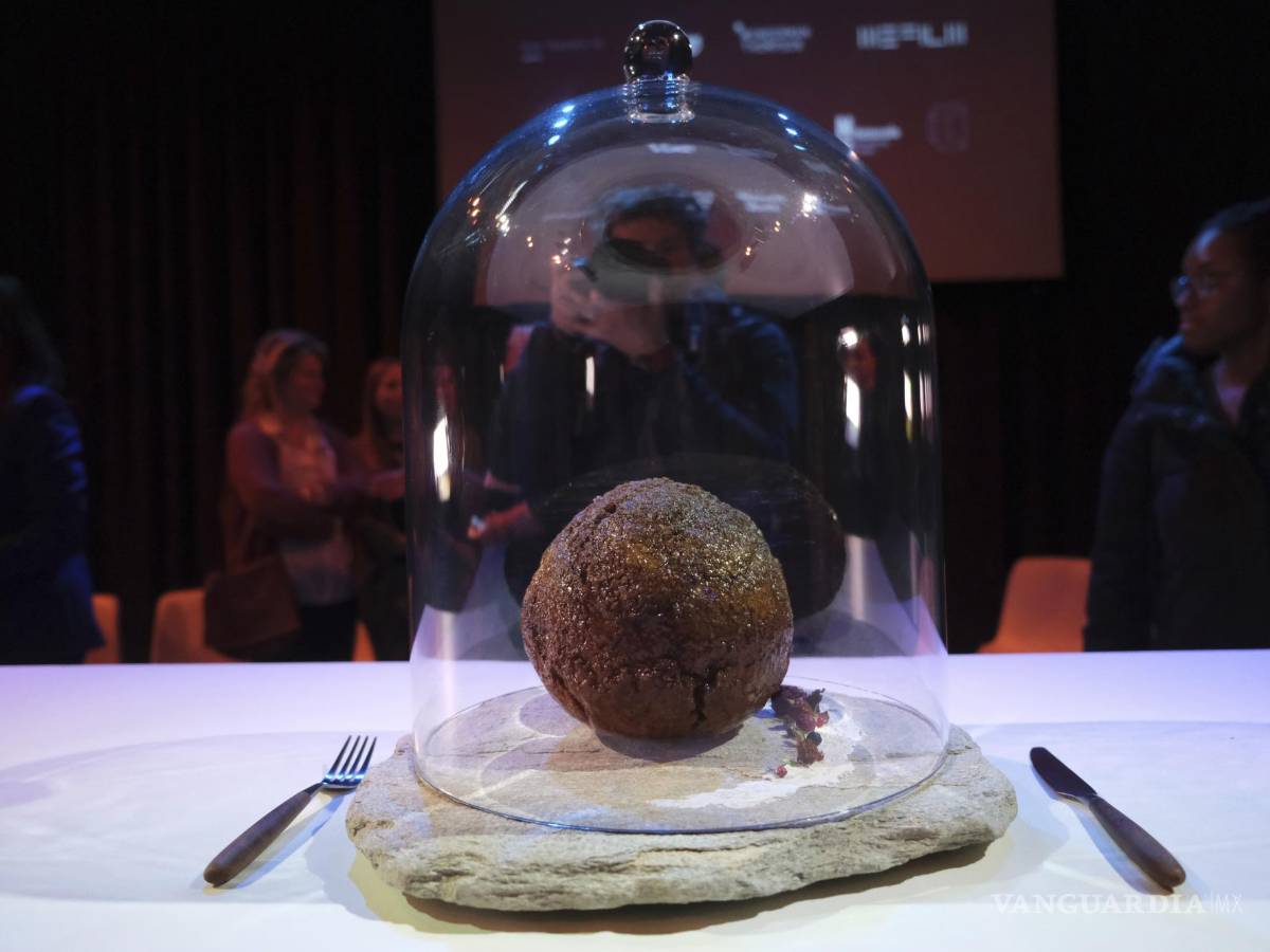 $!Una albóndiga hecha usando código genético de un mamut en el museo de ciencias Nemo en Ámsterdam.