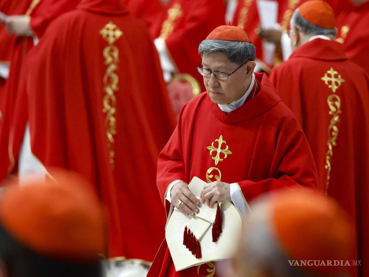 $!El cardenal Luis Antonio Tagle “ha sido ineficaz para mejorar la difícil situación de las víctimas de abuso sexual en la iglesia filipina”, señala Bishop Accountability.