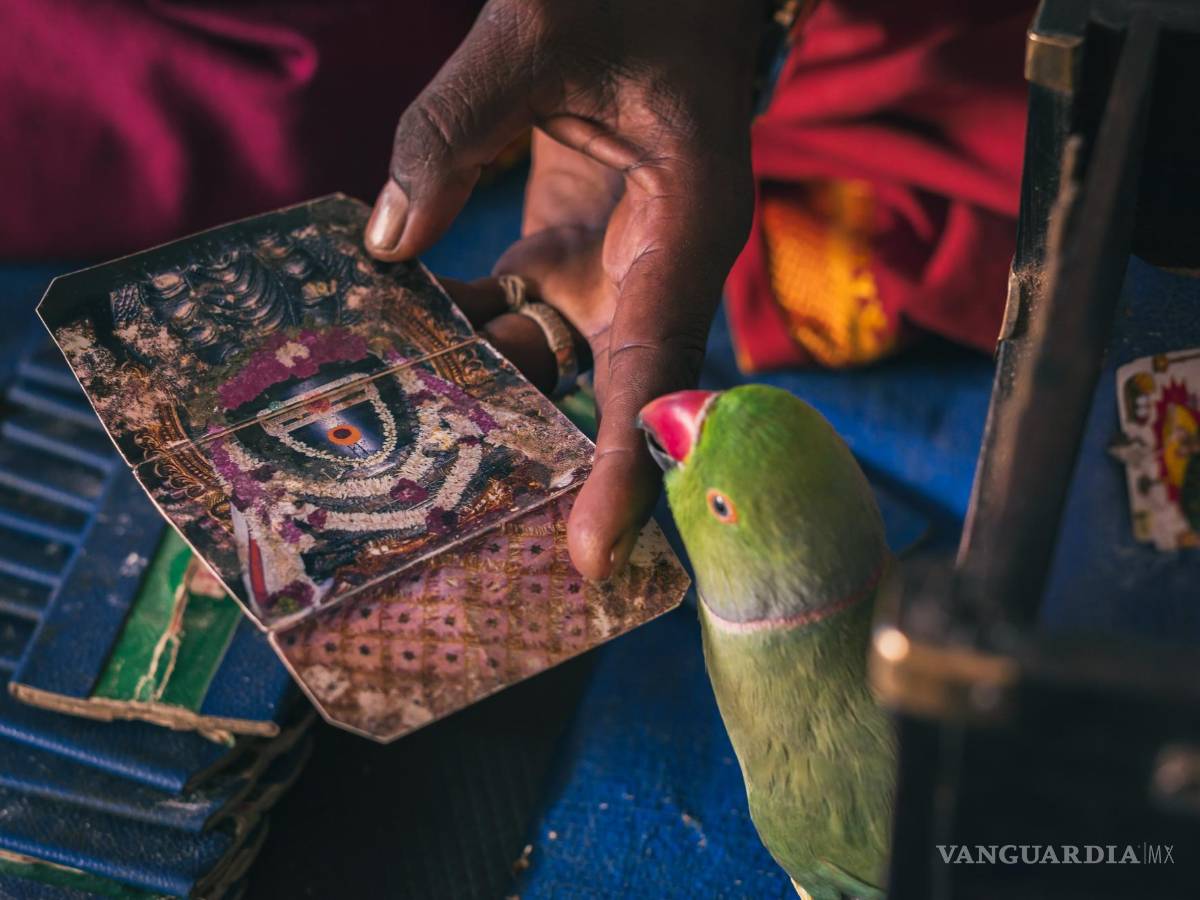 $!Entre sus predicciones más famosas destaca el asesinato de John F. Kennedy.