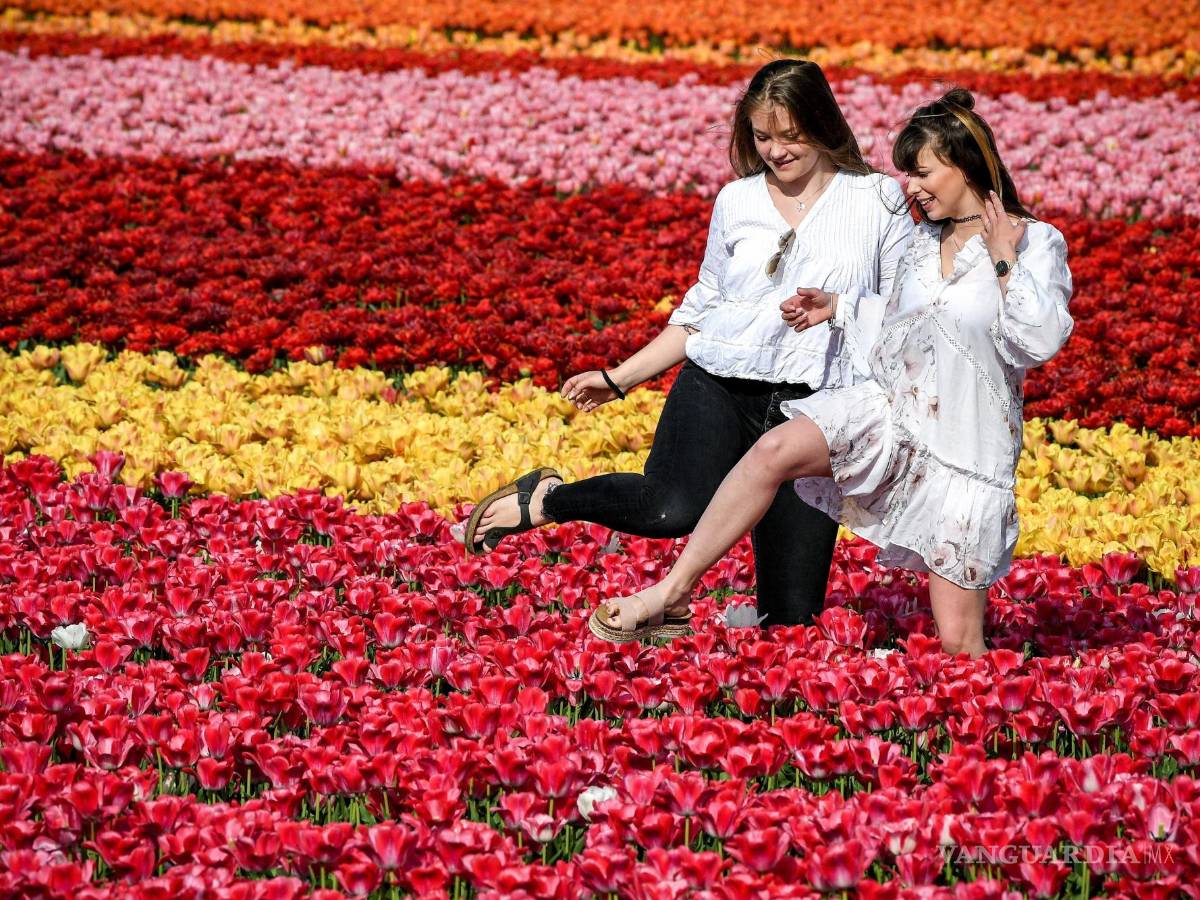 $!La Sociedad Española de Neurología indica que el síndrome de las piernas inquietas es más frecuente en las mujeres. EFE/ Sascha Steinbach