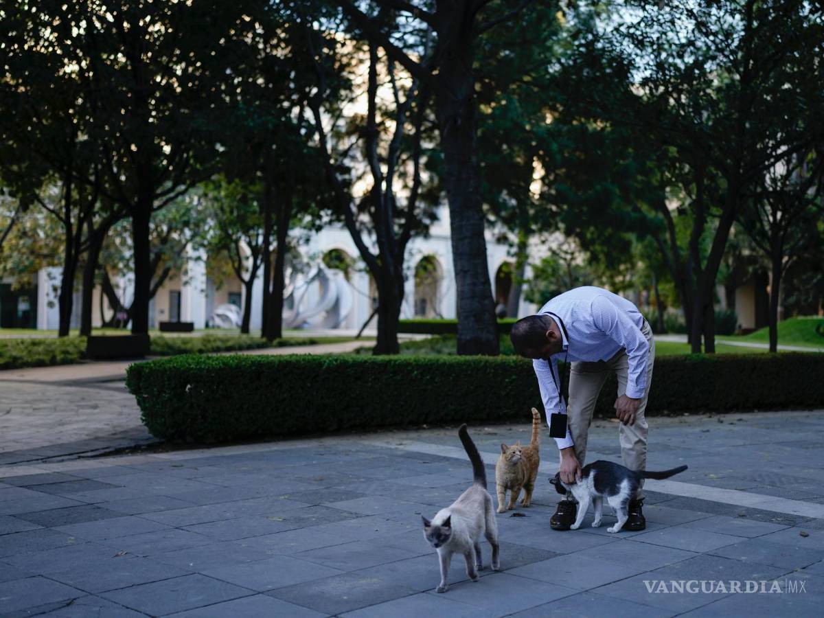 $!El veterinario Jesús Arias saluda a Ollin en un jardín del Palacio Nacional en Ciudad de México.