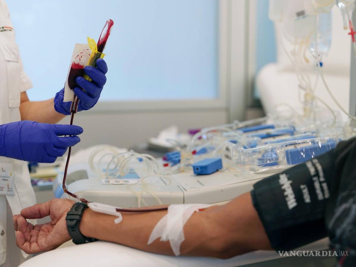 $!una de las características de las personas con Rh nulo es que sus glóbulos rojos presentan una vida menor, lo cual conduce a diferentes grados de anemia'.