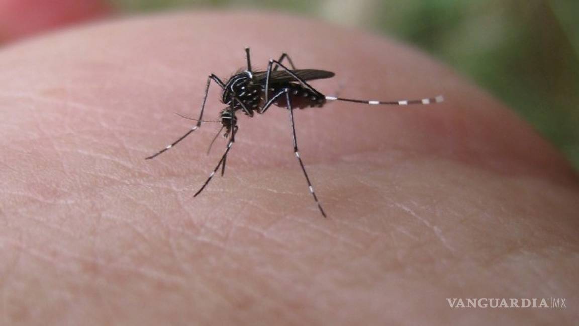 ¡Alerta! Se triplican los casos de dengue en México; los decesos también aumentaron en un año