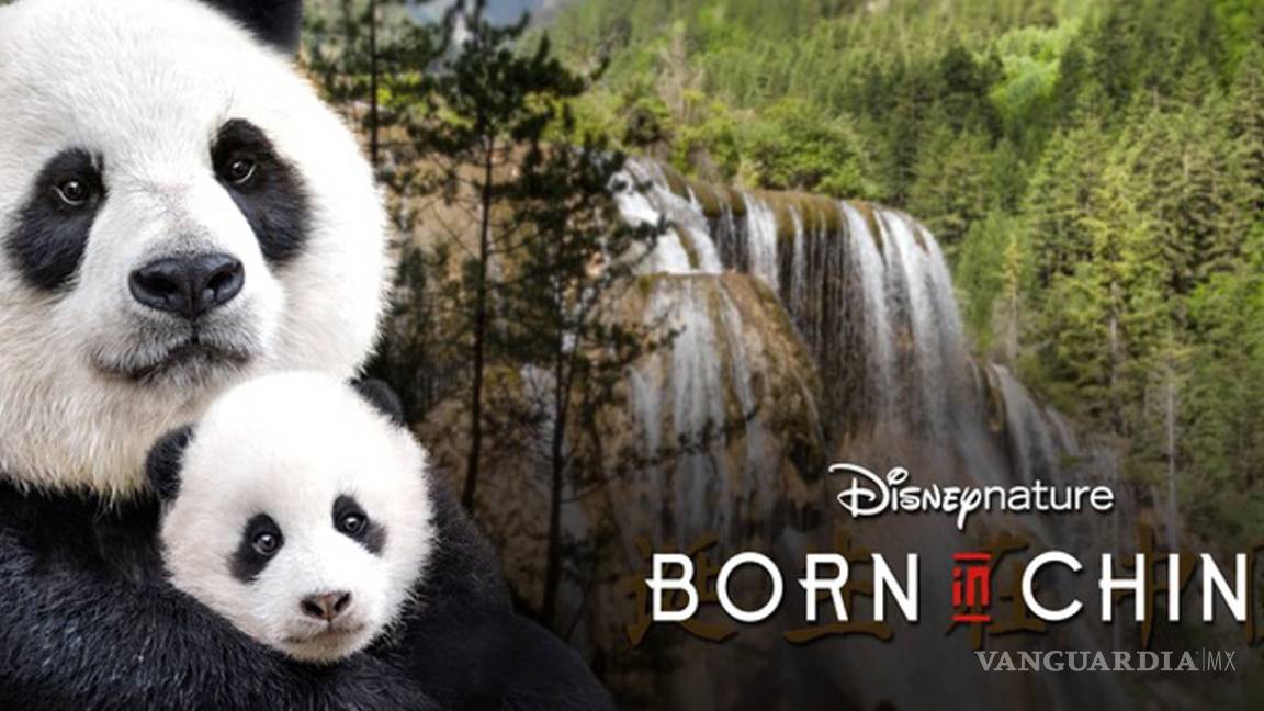 Disney presenta su filme &quot;Born in China” en formato digital y DVD
