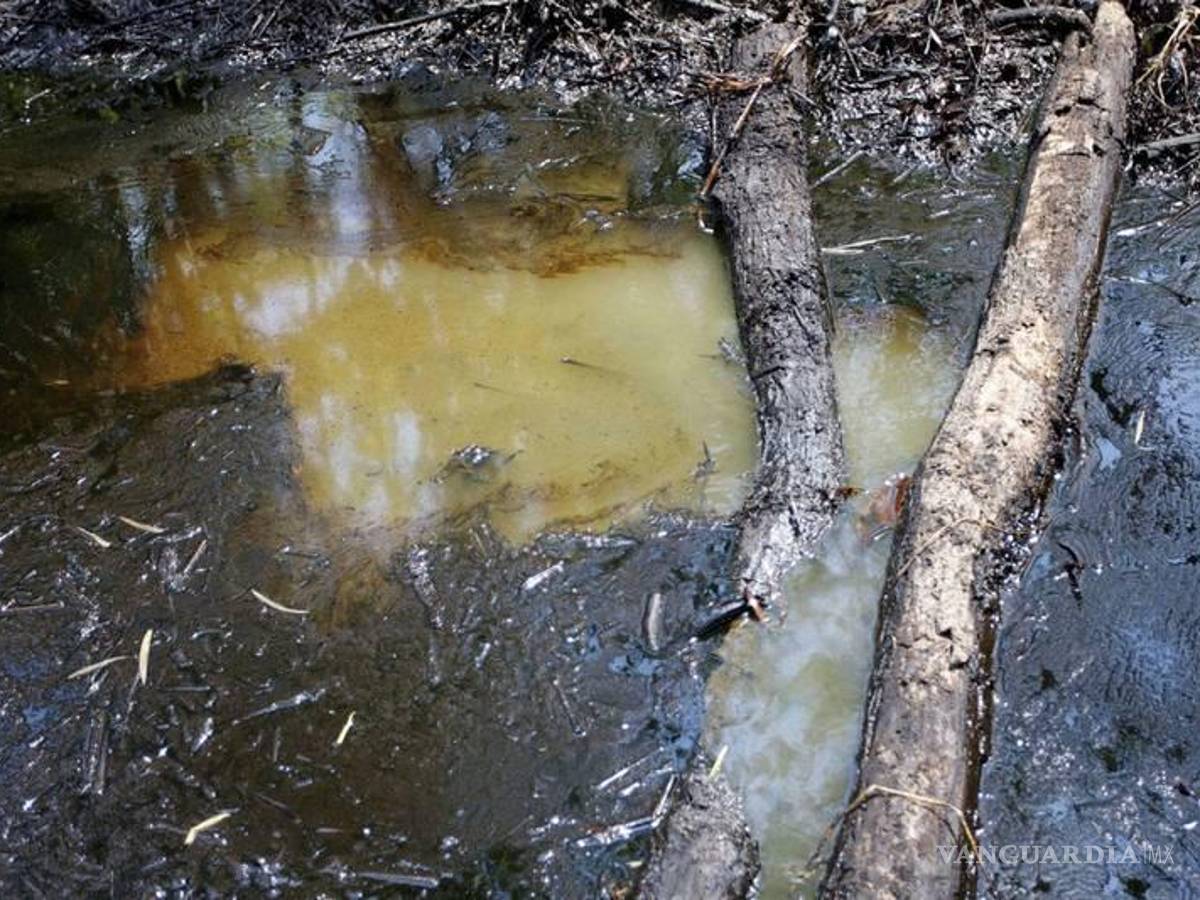 $!Derrame de aceite de oleoducto de Pemex afectó a 600 mil personas, al dejarlas sin agua.